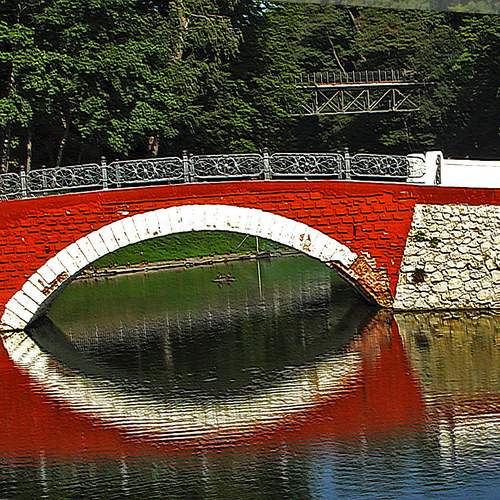 Photo #12292550