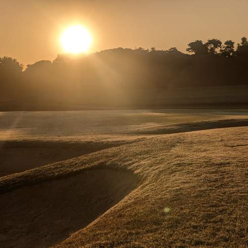 Photo #12292588