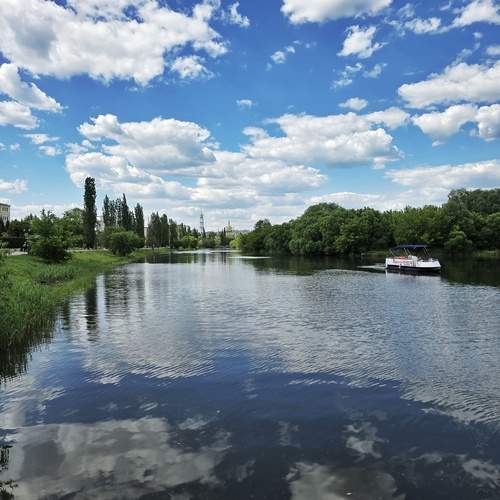 Photo #12292627