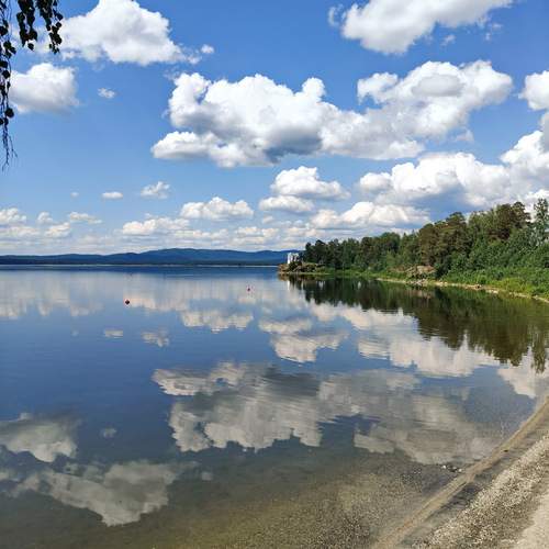 Photo #12292705