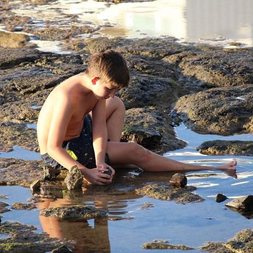 Photo #12292736