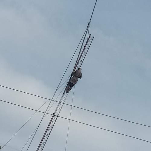 Photo #12293037