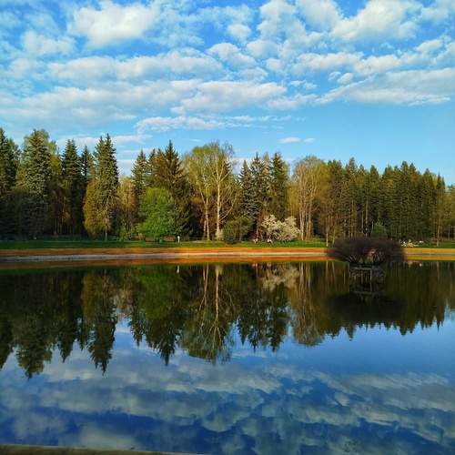 Photo #12293097