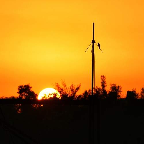Photo #12293257
