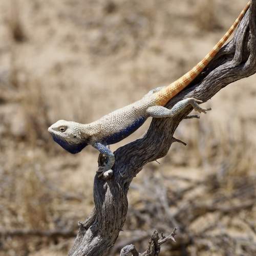 Photo #12293286