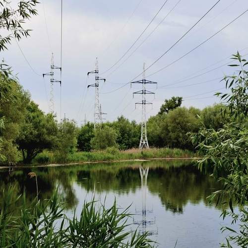Photo #12293584