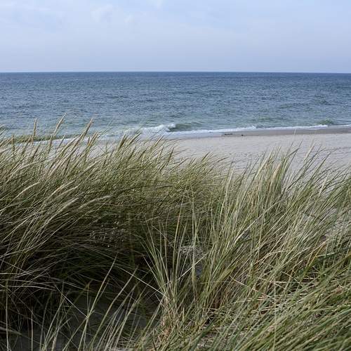 Photo #12293716
