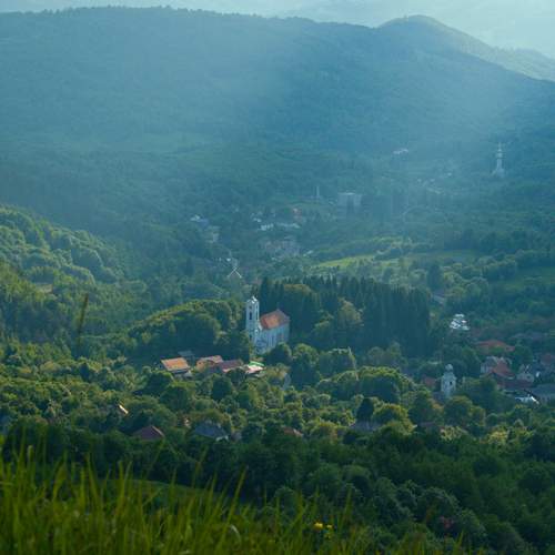 Photo #12294817