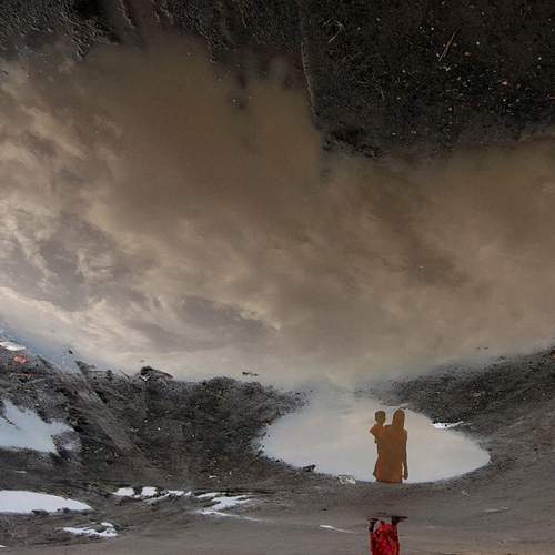 Photo #12294888