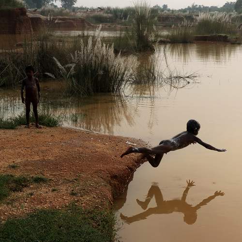 Photo #12294892