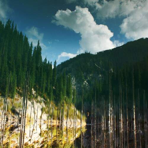 Photo #12295098