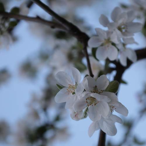 Photo #12295176