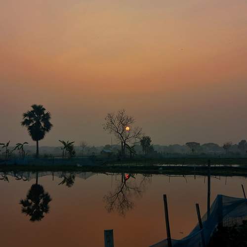 Photo #12295200