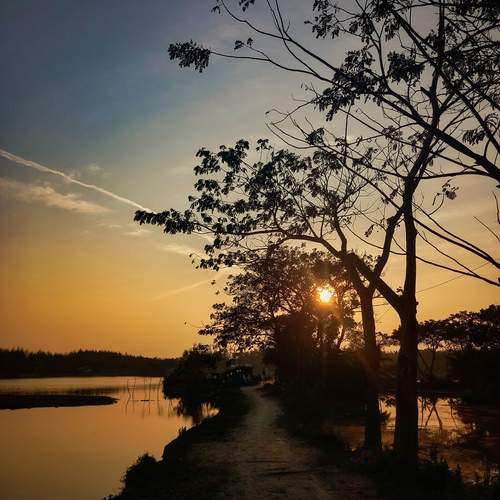 Photo #12295243