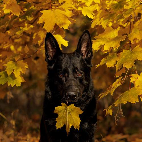 Photo #12295412