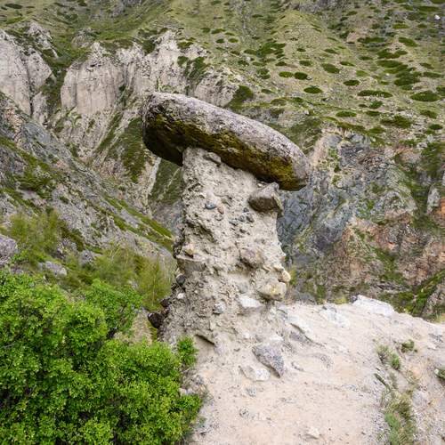 Photo #12295495