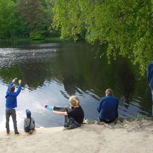 Photo #12295524