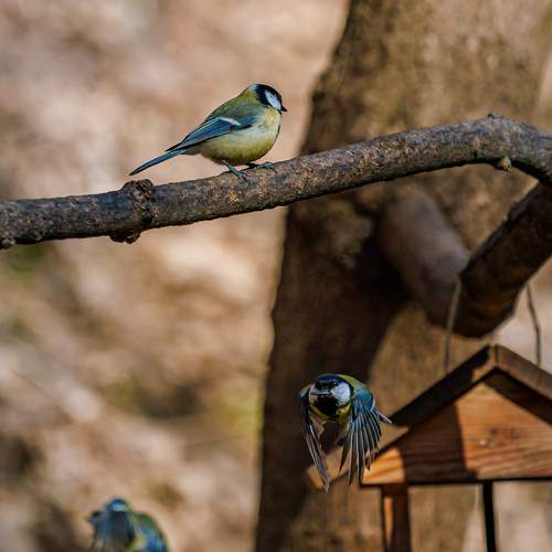 Photo #12296235