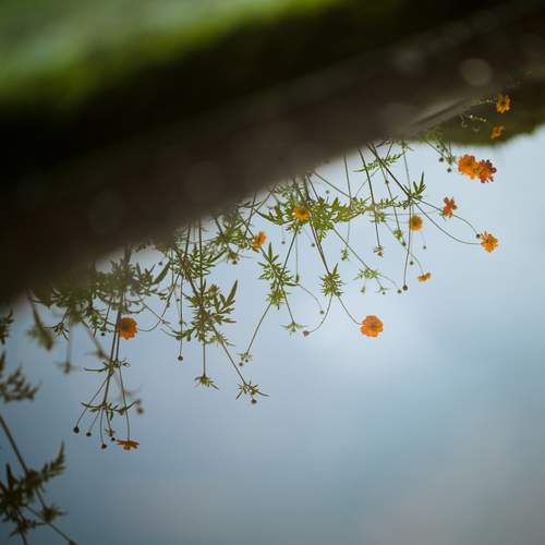 Photo #12296277