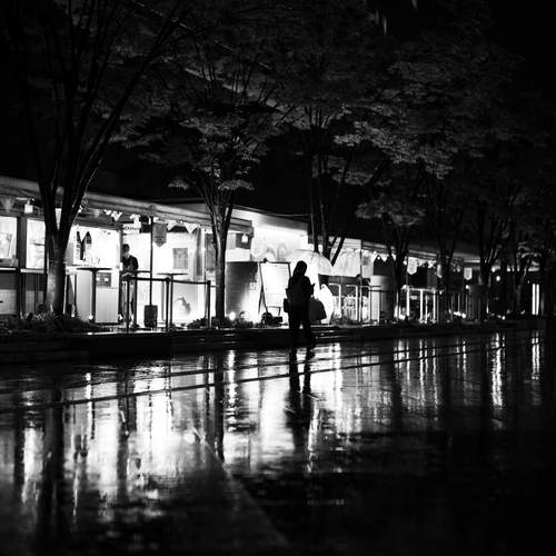 Photo #12296281