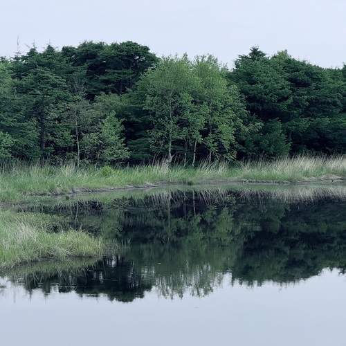 Photo #12296543