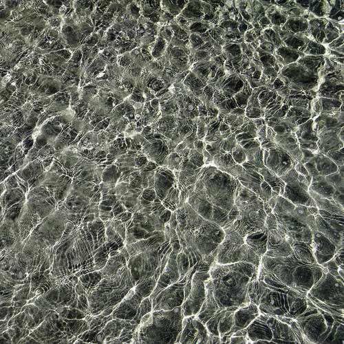Photo #12296600