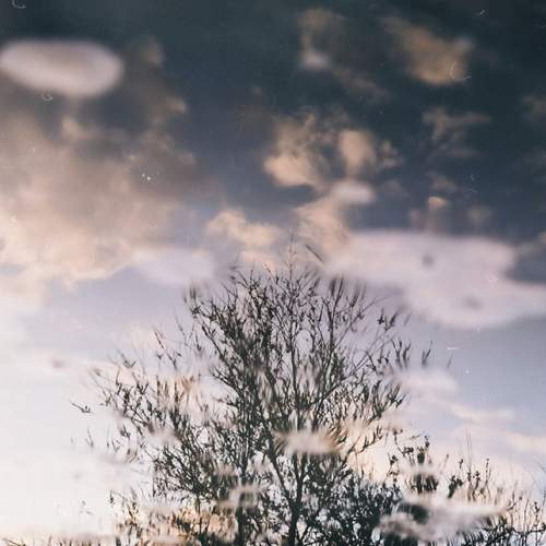 Photo #12296651