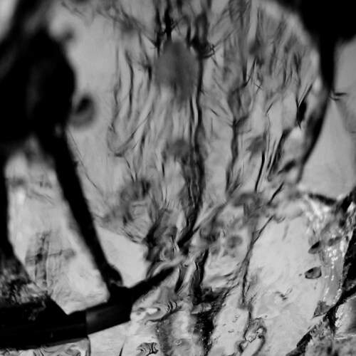 Photo #12296709