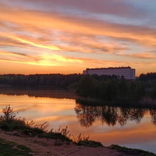 Photo #12296898