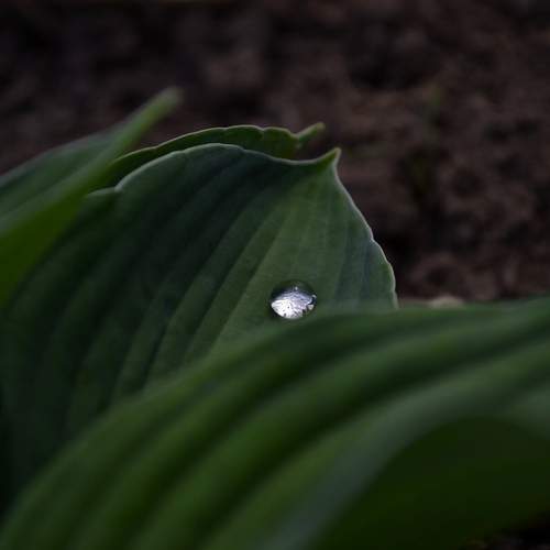 Photo #12296974