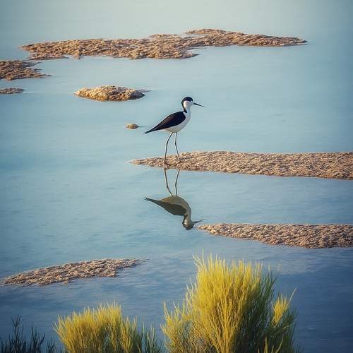 Photo #12297034