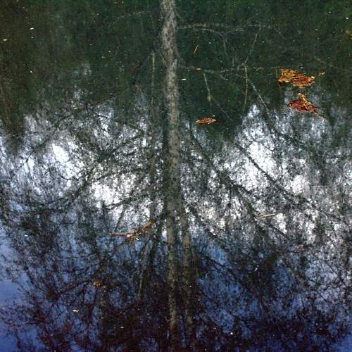 Photo #12297078