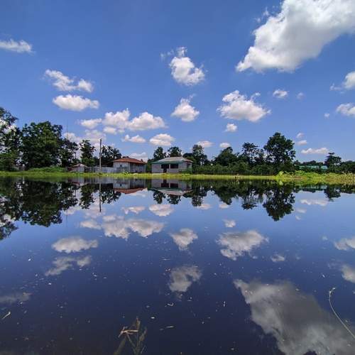 Natural mirror