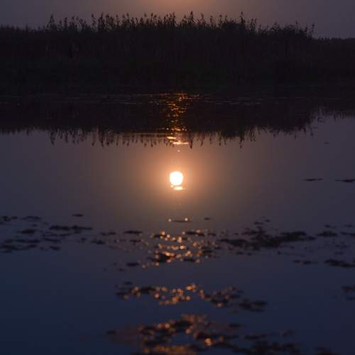 Photo #12297196