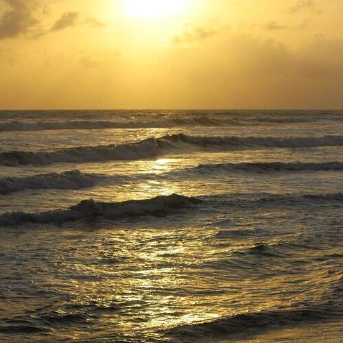Photo #12297246