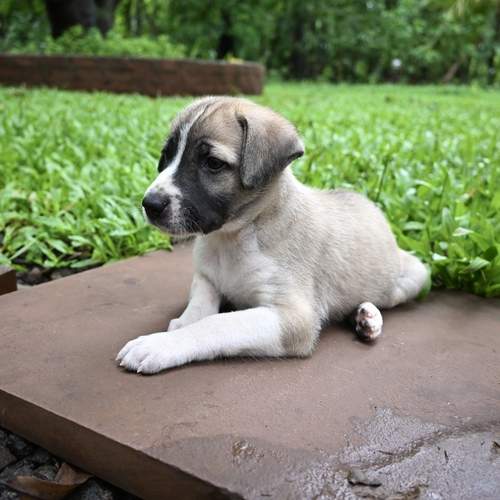 Photo #12297417