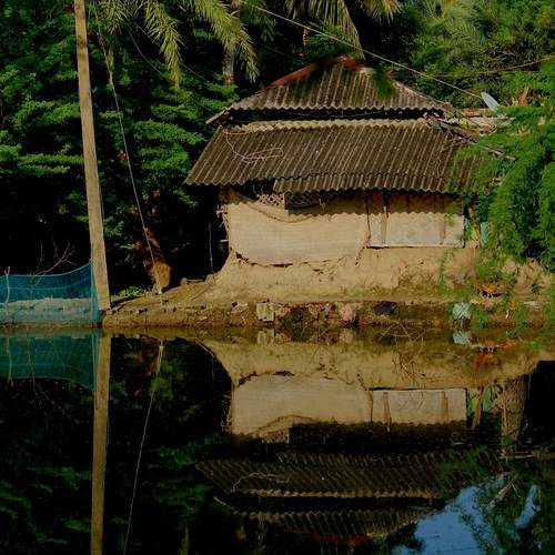 Photo #12297464
