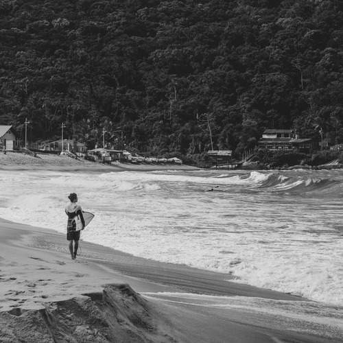 Photo #12297625