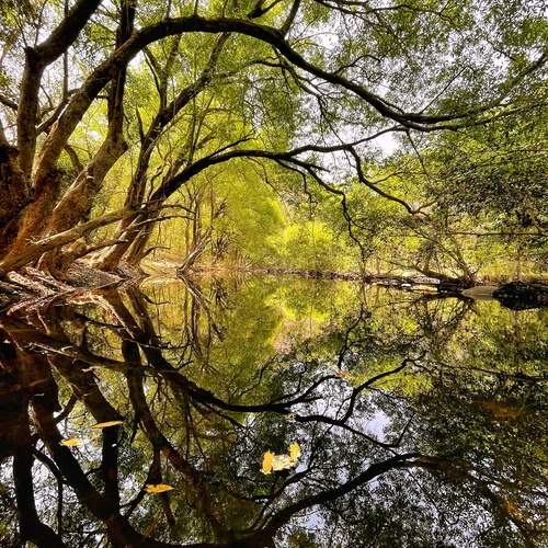 Photo #12297788