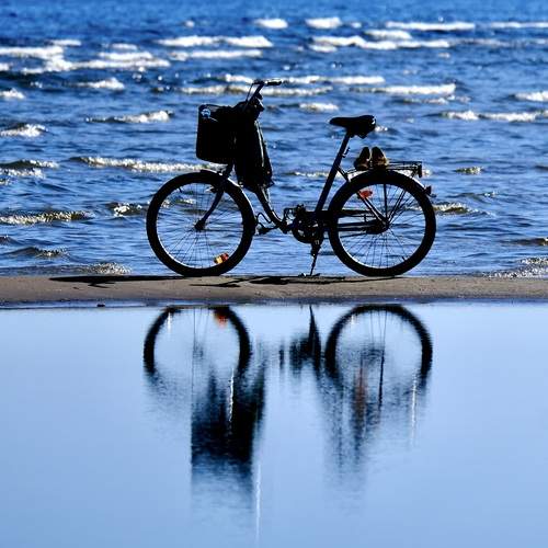 Photo #12297867