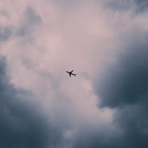 Photo #12298307