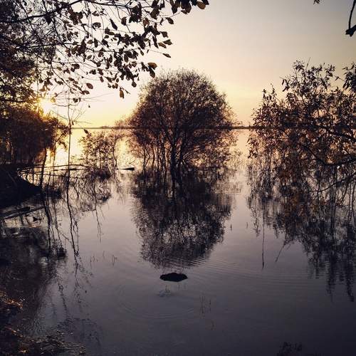 Photo #12298367