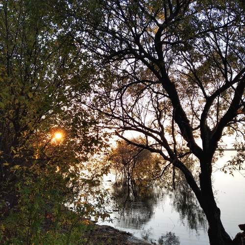 Photo #12298406