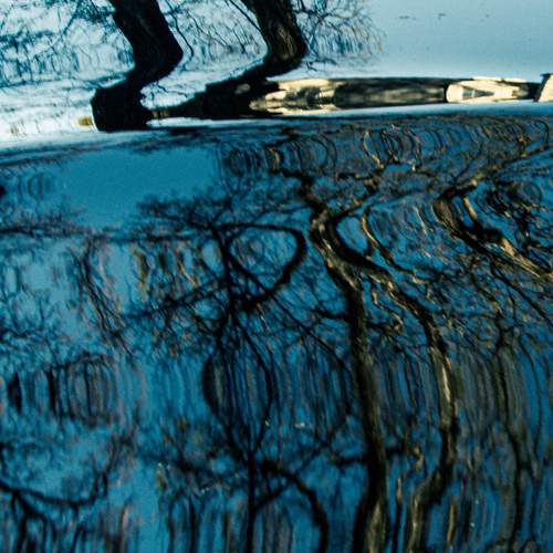 Photo #12298413