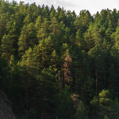 Photo #12298657