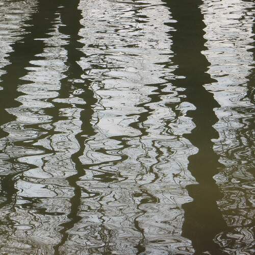 Photo #12298756