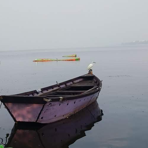 Photo #12298874