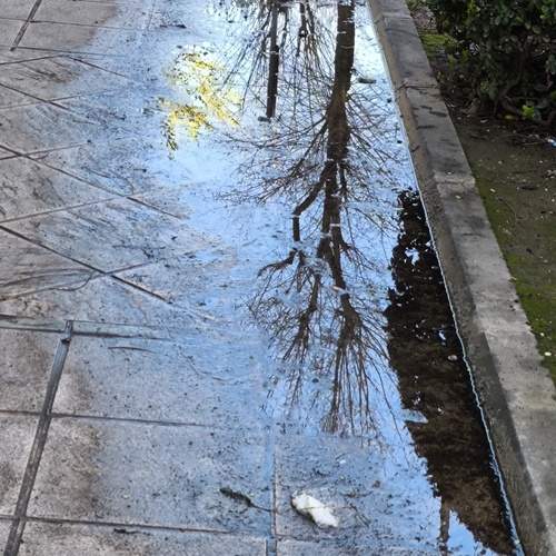 Photo #12298917