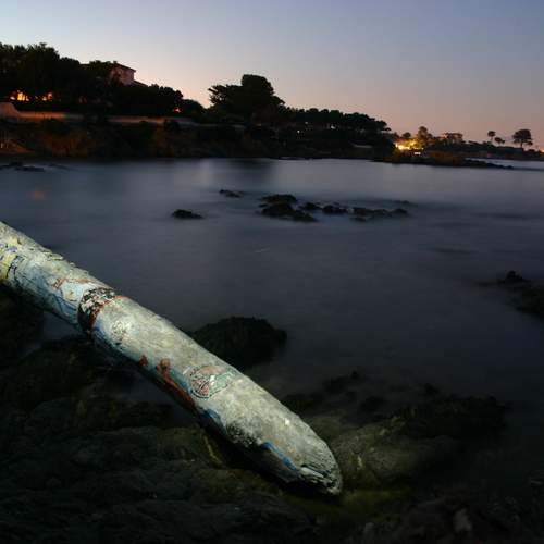 Wood sea