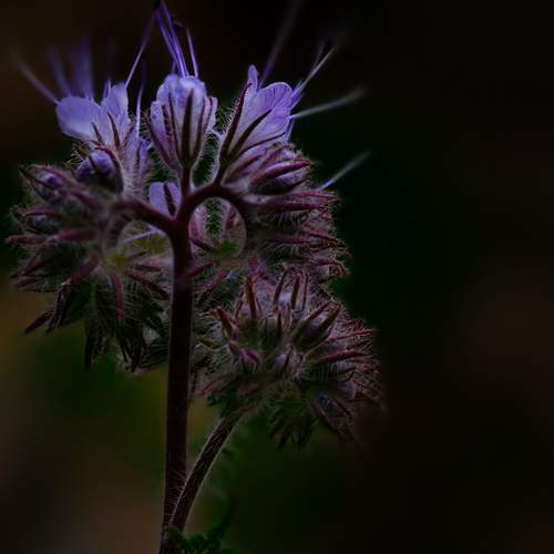 Photo #12299072